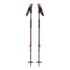 Black Diamond Traverse Skitouren-/Trekkingstock