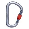 Black Diamond Rocklock Screwgate Kletterkarabiner 1 Black Diamond Rocklock Screwgate Kletterkarabiner -Outdoor-Ausrüstung 3956 source 1687915782 1