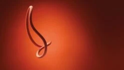 Petzl Rumba Kletterhalbseil [8mm] -Outdoor-Ausrüstung 461128304 640 2