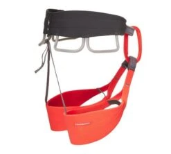 Black Diamond Solution Klettergurt Damen 10 Black Diamond Solution Klettergurt Damen -Outdoor-Ausrüstung 651083 bkoc black octane solution womens detail