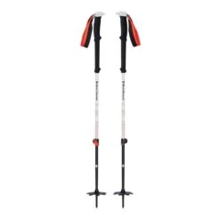 Black Diamond Expedition 2 Pro Poles Skitourenstöcke