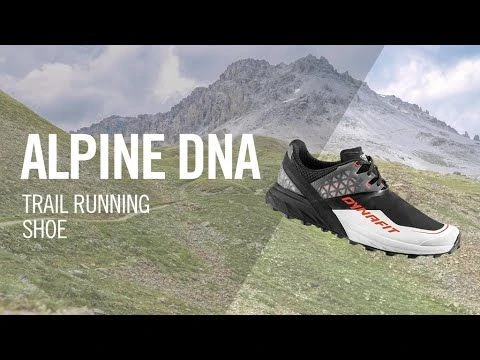 Dynafit ALPINE DNA W Trailrunningschuh Damen 7 Dynafit ALPINE DNA W Trailrunningschuh Damen – Bild 5