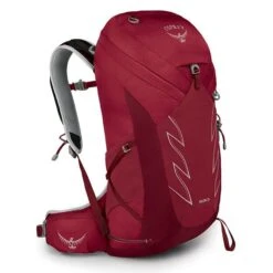 Osprey Talon 26 Wanderrucksack Herren