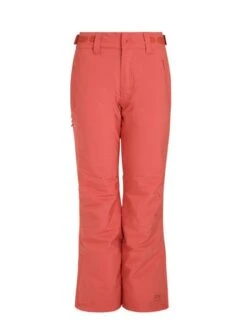 Protest CARMACKS Snowpants Damen