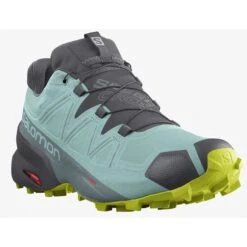 Salomon Speedcross 5 GTX W Trailrunningschuhe Damen